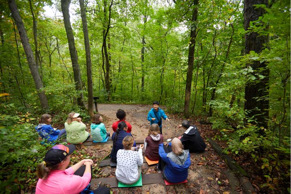 Forest bathing track
